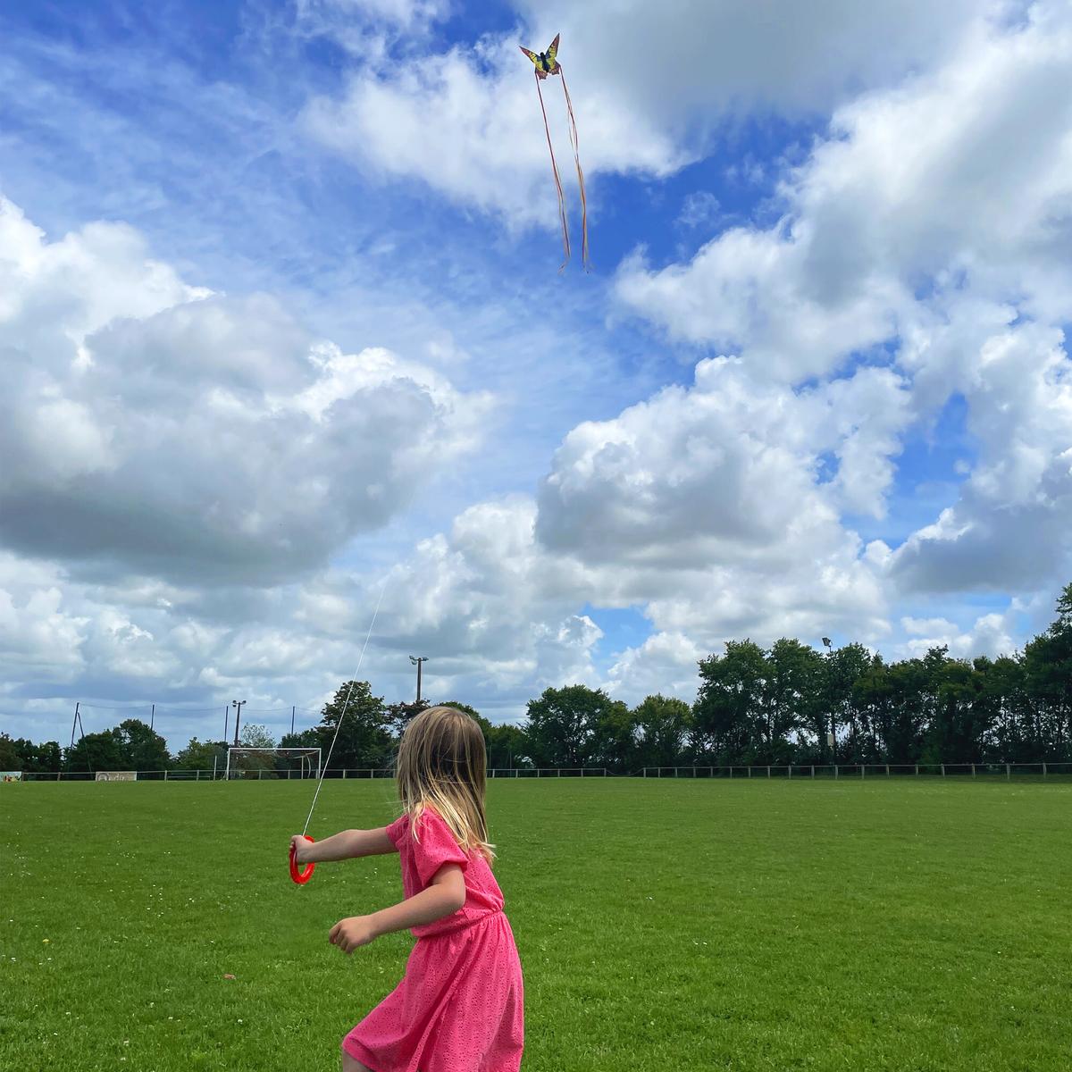 product/h/q/hq-kites_butswl_color-multi_2.jpg