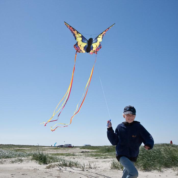 product/h/q/hq-kites_butswl_color-multi_3.jpg