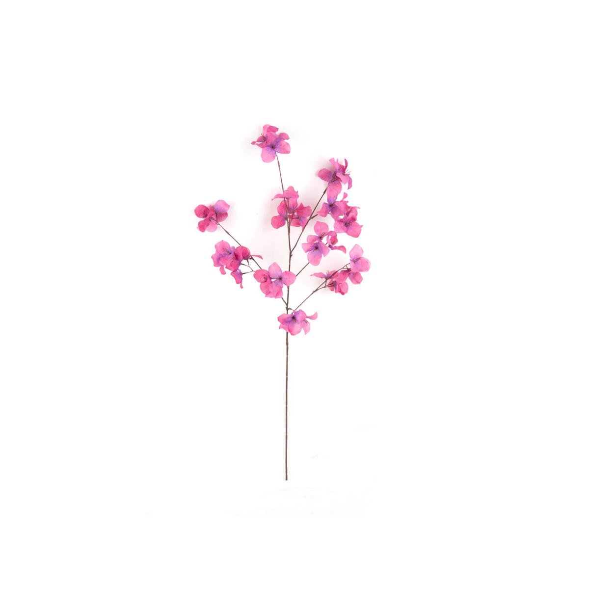 product/p/r/present-time_pt3903pu_fuchsia_1.jpg