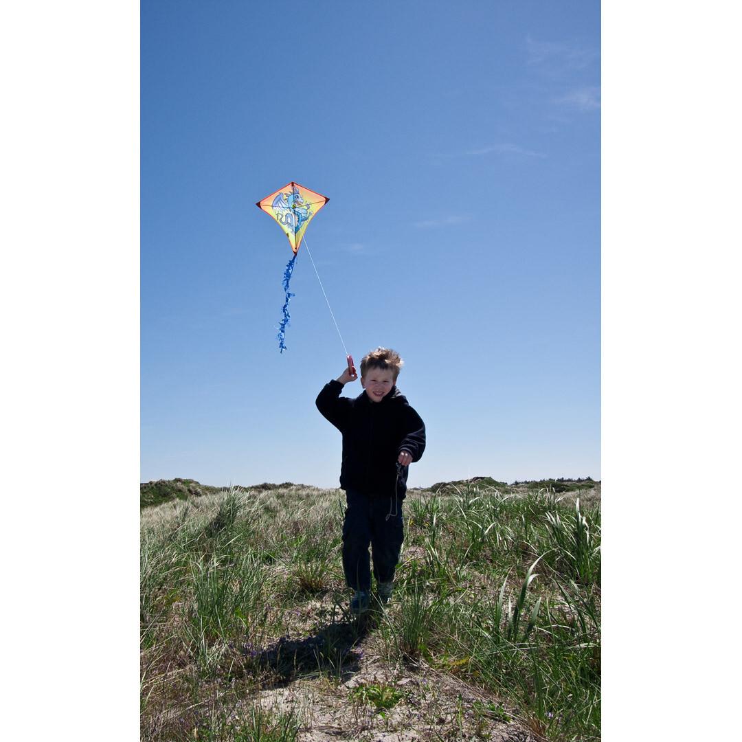 product/h/q/hq-kites_edydra_jaune-bleu_2.jpg