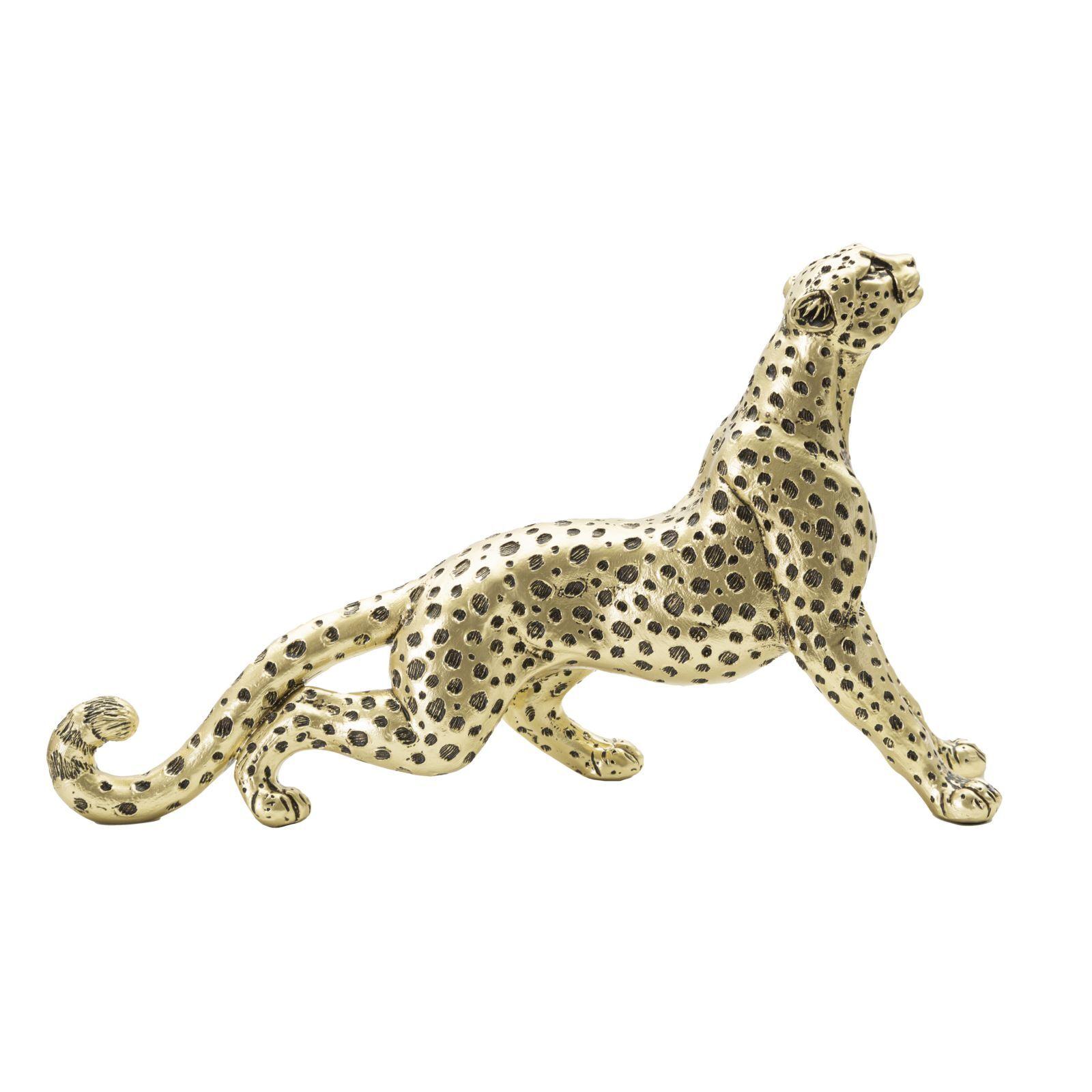 product/m/a/mauro-ferretti_011644000s_gold-black_1.jpg