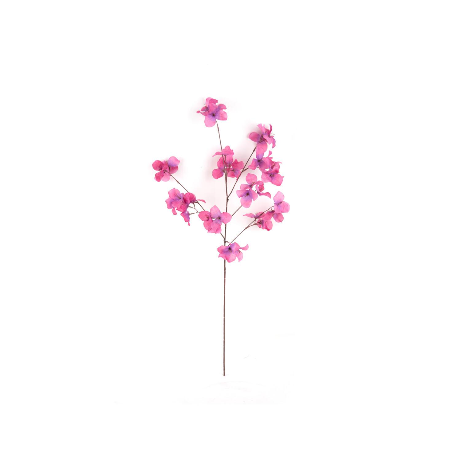 product/p/r/present-time_pt3903pu_fuchsia_1.jpg