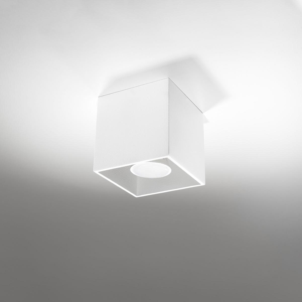 product/s/o/sollux_sl.0027_1.jpg