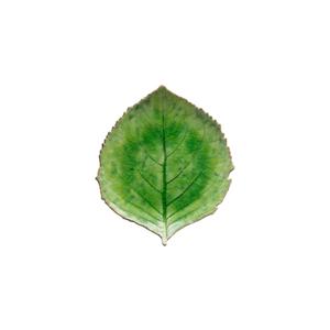 vep221-tmt-hydrangea-leaf-plate-costa-nova-riviera-x6-tomato-21-8x19-1x3-3cm