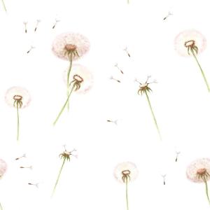 deko-tap-069-baby-wallpaper-dekornik-dandelions-white-280x50-cm