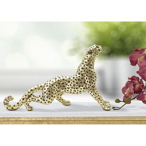 product/m/a/mauro-ferretti_011644000s_gold-black_5.jpg