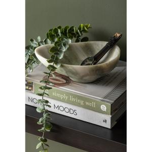 product/p/r/present-time_pt4218lg_himalayan-green_3.jpg