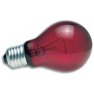 387140-terrarium-lamp-nightlight-zoomed-nr40-red-40-w