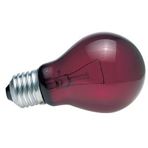 387141-terrarium-lamp-nightlight-zoomed-nr60-red-60-w