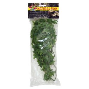 387722-plant-terrarium-accessories-zoomed-congo-ivy-green-one-size